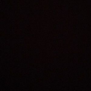 Meet your Posher, Angelina